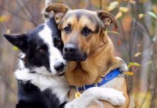 Best Friends E1472133636842