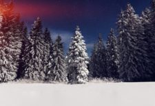 Tough Love For The Holidays