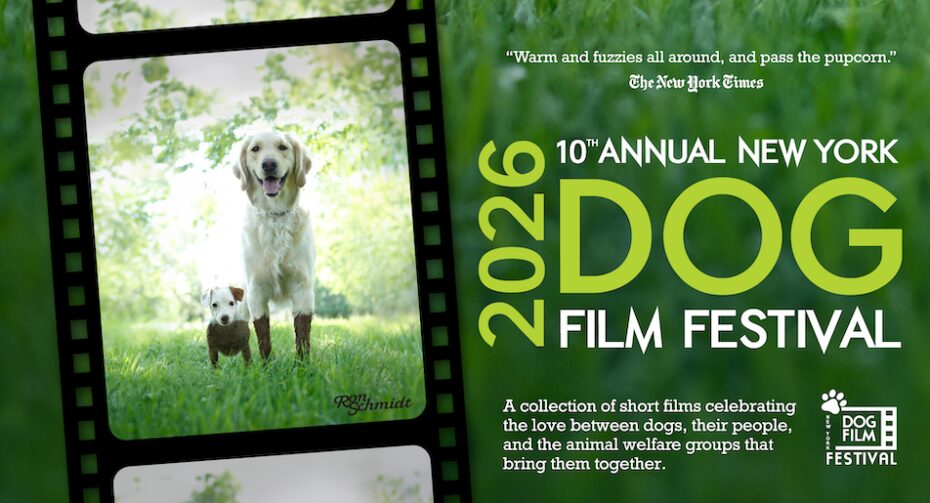 A yellow lab and small dog appear framed in a film reel, covered in mud. The festival's title appears in lime green text over a background of grass on the right side of the image.