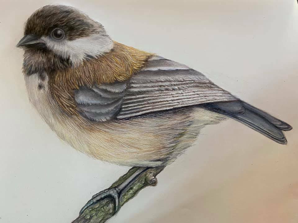 202723293 341542984005714 3784533163154858569 n 1