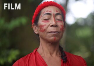 Image for Global Shorts