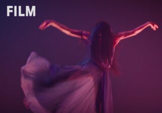 Image for International Artists: Abundance / Diana