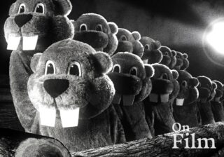 Image for Hundreds of Beavers