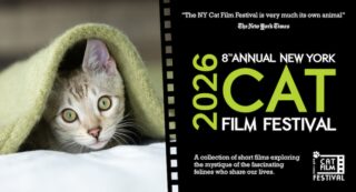 Image for NY Cat Film Festival
