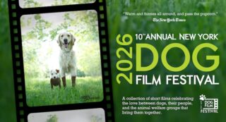 Image for NY Dog Film Festival