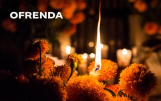 Image for InSightALT