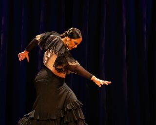 Image for Flamenco Certamen USA 2026