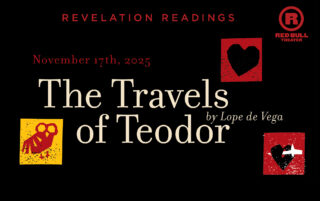 Image for The Travels of Teodor