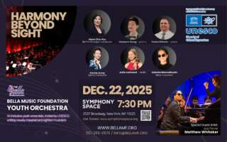 Image for Harmony Beyond Sight: BMF Youth Orchestra