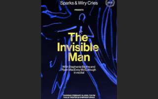 Image for Sparks & Wiry Cries: The Invisible Man