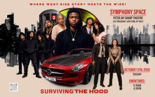 Image for Surviving The Hood