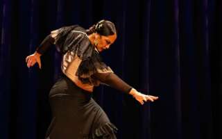 Image for Flamenco Certamen USA 2026